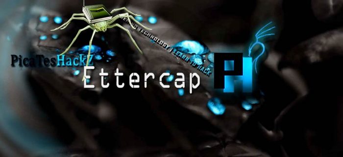 ettercap-hacking2Btool2B-2Bpicateshackz.jpg