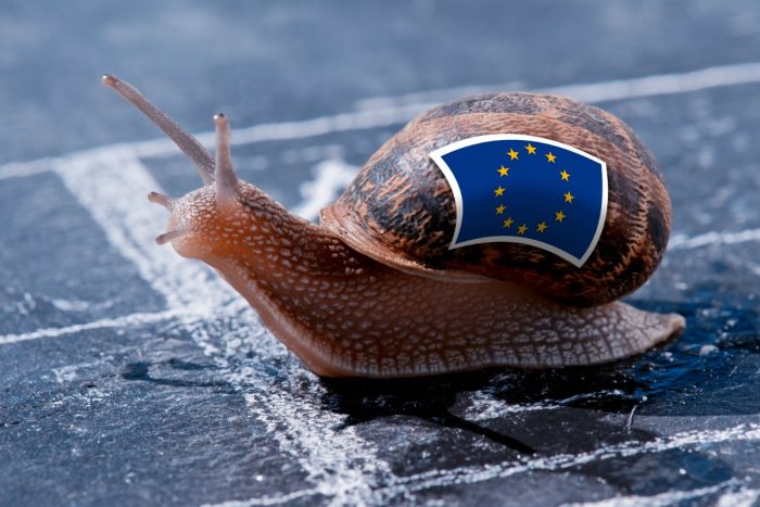 euro_snail.jpeg